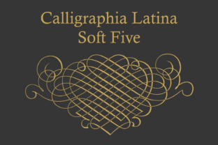 Calligraphia Latina Soft Five: A Font for Campaign Clarity