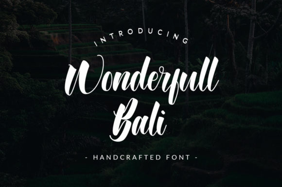 Wonderfull Bali: A Script Font for Web Design and Brand Identity